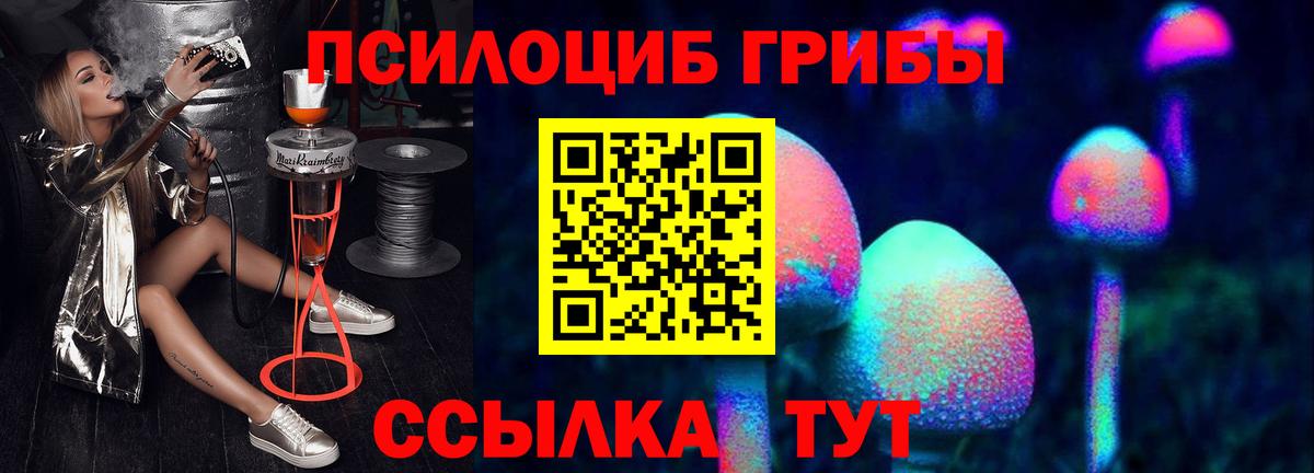 Альметьевск  цена наркотик  Вход с VPN  Галлюциногенные грибы Psilocybe 