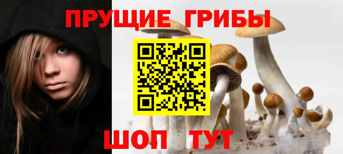 Галлюциногенные грибы мицелий Альметьевск